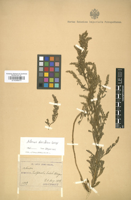 LE 01008373