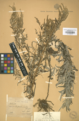 LE 01008374