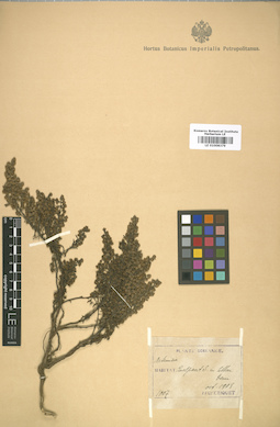 LE 01008379