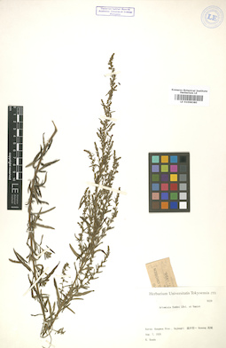 LE 01008380