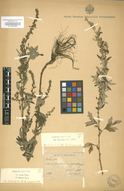 LE 01008382