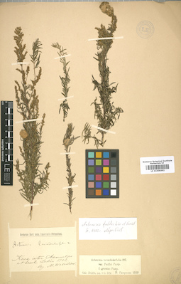 LE 01008392