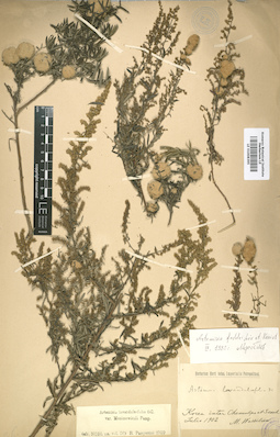 LE 01008395