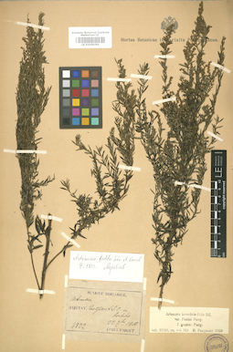 LE 01008396