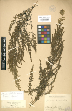 LE 01008397