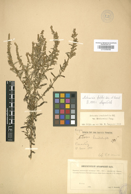 LE 01008398