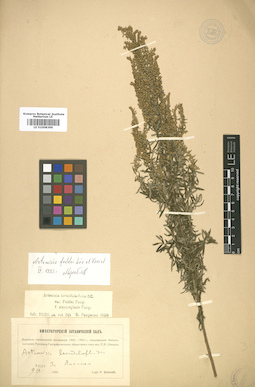 LE 01008399