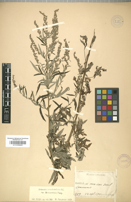 LE 01008400