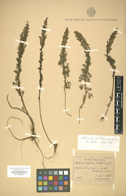 LE 01008401