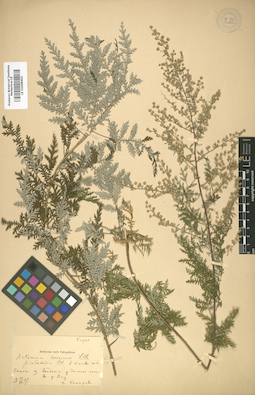 LE 01008402