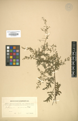 LE 01008404