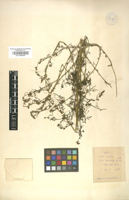 LE 01008406
