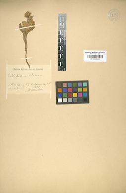 LE 01008445