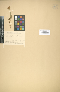LE 01008446