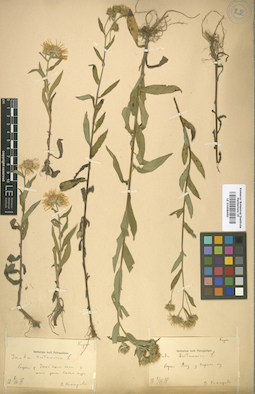LE 01008460