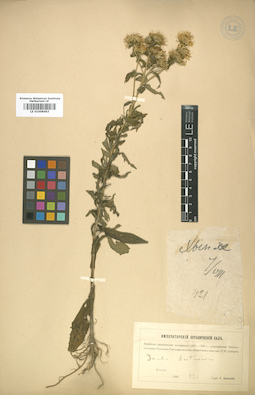 LE 01008463