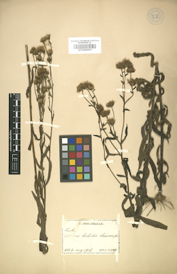 LE 01008464