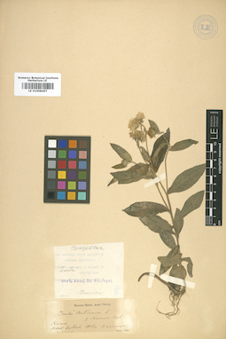 LE 01008467