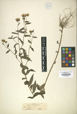 LE 01008468
