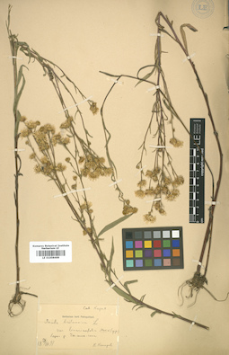 LE 01008469