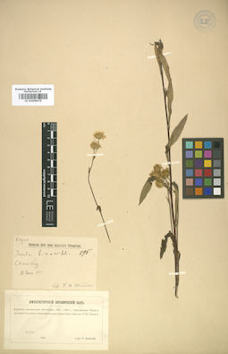 LE 01008470