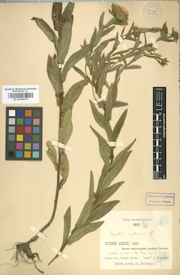 LE 01008471