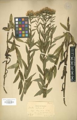LE 01008472