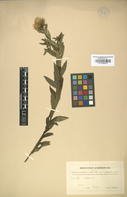 LE 01008473