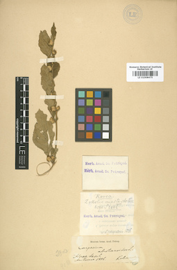 LE 01008475