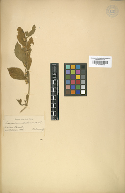 LE 01008476
