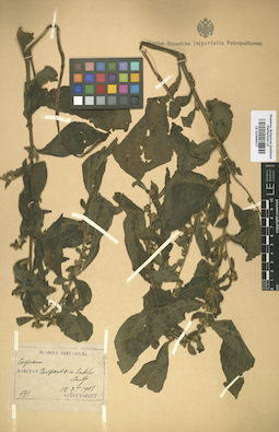 LE 01008477