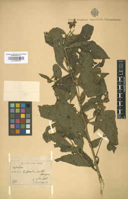LE 01008478