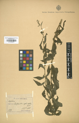 LE 01008479