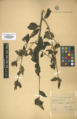 LE 01008480
