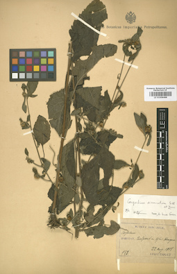 LE 01008488