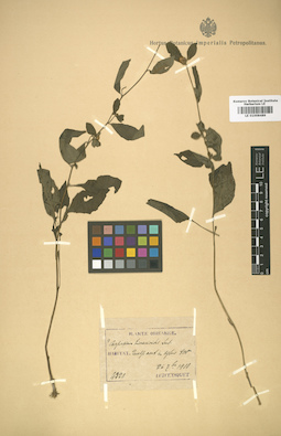 LE 01008489