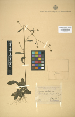 LE 01008490