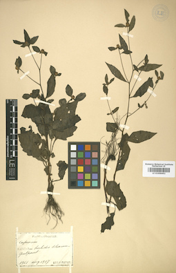 LE 01008492
