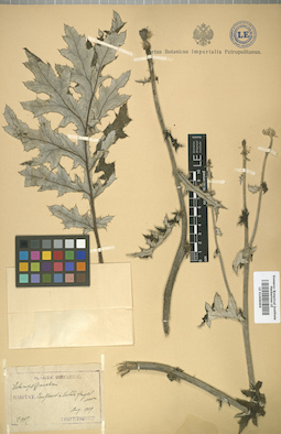 LE 01008496