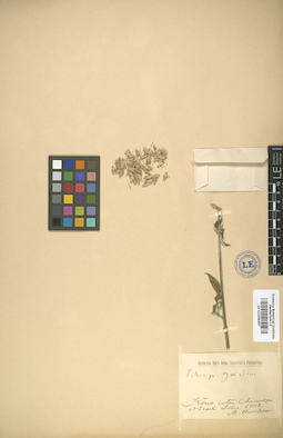 LE 01008497