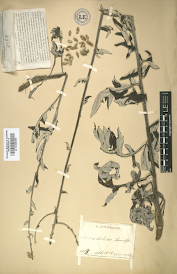 LE 01008498