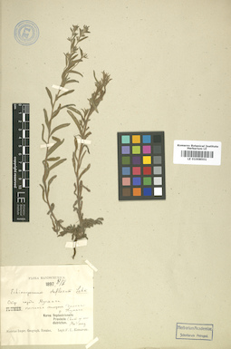 LE 01008501