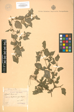 LE 01008502