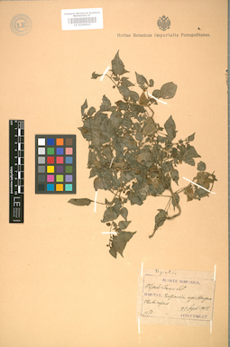 LE 01008503