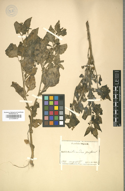 LE 01008514