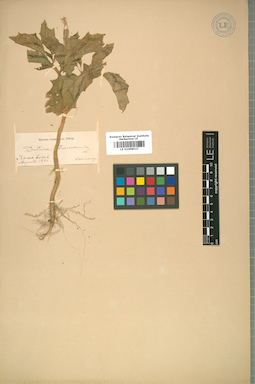 LE 01008527