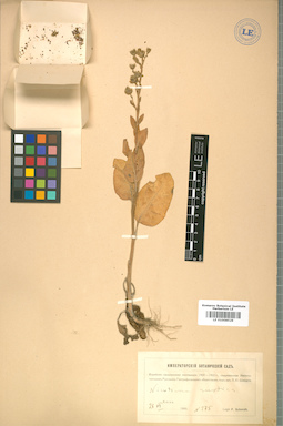 LE 01008529