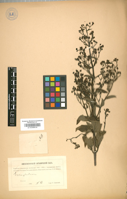 LE 01008534