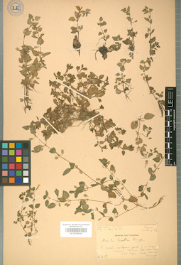 LE 01008543