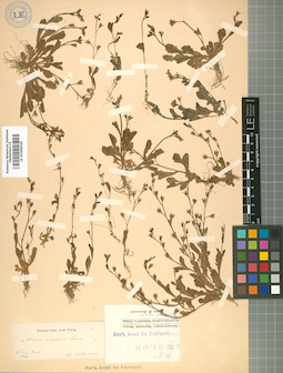 LE 01008545